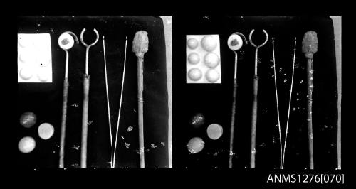 Two black-and-white negatives, joined together, of pearl seeding tools and nuclei, on Pearl Island