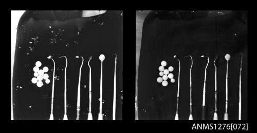 Two black-and-white negatives, joined together, of pearl seeding tools and nuclei, on Pearl Island