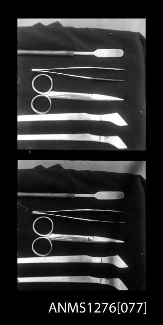 Two black-and-white negatives, joined together, of four pearl seeding tools, on Pearl Island