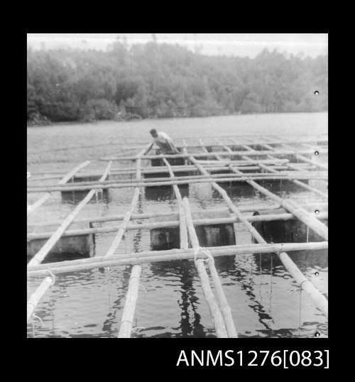 A person on a pearl production raft on Pearl Island