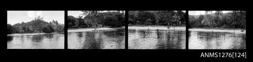 Strip of four black-and-white negatives of a pearl raft being constructed over the water, close to land