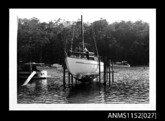 Northbridge boatshed