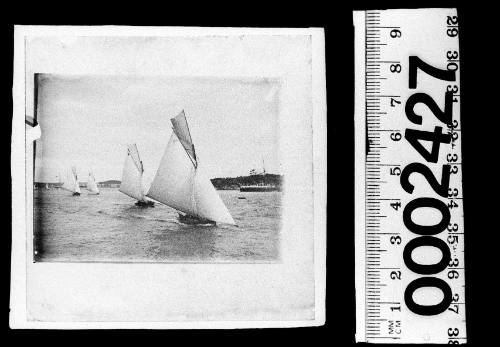 Four open boats sailing on Sydney Harbour