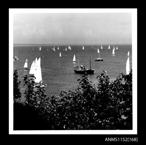 The elevated water view with many small catamarans with sails set for a regatta