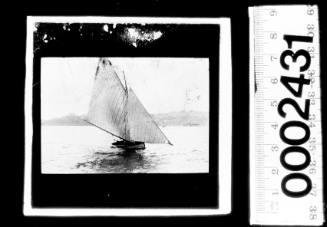 Small open boat under sail on Sydney Harbour