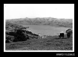 Derwent River, Tasmania