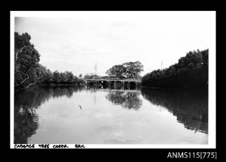 Rive at Cabbage Tree Creek