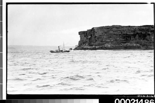 SS CAPTAIN COOK II pilot steamer