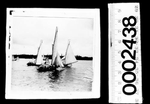 Group of 24-footers sailing on Sydney Harbour, New South Wales