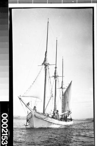 Three masted schooner CORINGLE