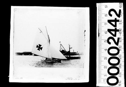 Gaff catamaran FLYING FISH, displaying a Maltese Cross and the number '75' while sailing on Sydney Harbour