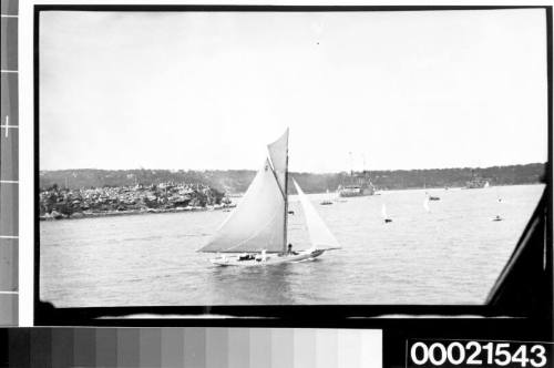 Yacht sailing in Sydney Harbour