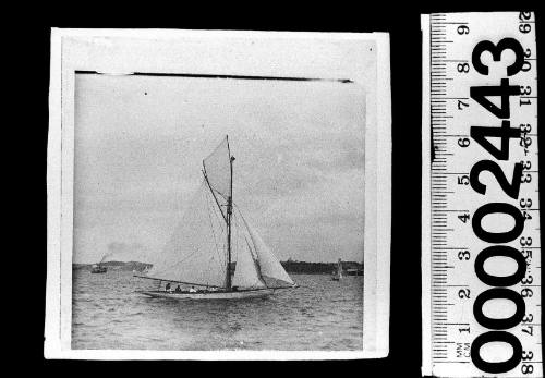 Cutter on Sydney Harbour, New South Wales, Australia