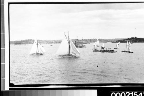 Three gaff rigged yachts and 18-foot vessels possibly at Robertson's Point, Sydney