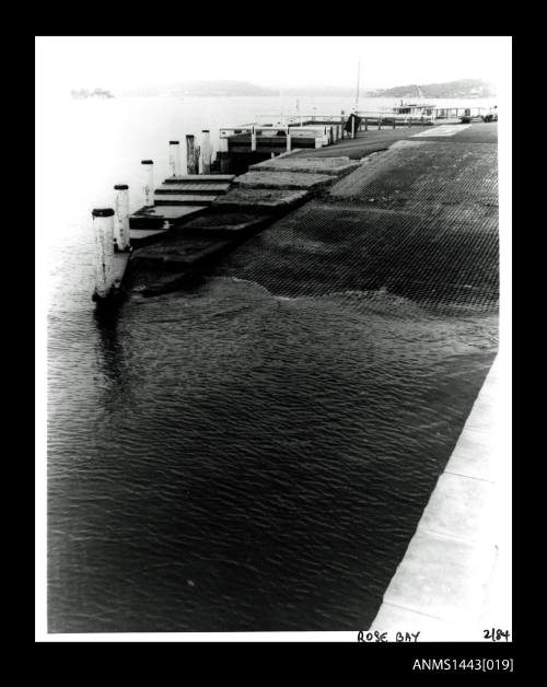 Rose Bay boat ramp