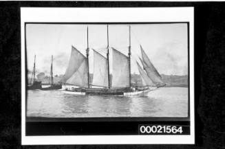 New South Wales coastal schooners serving the timber trade