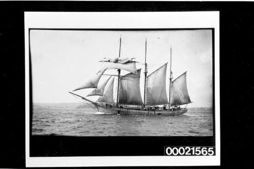 New South Wales coastal schooners serving the timber trade