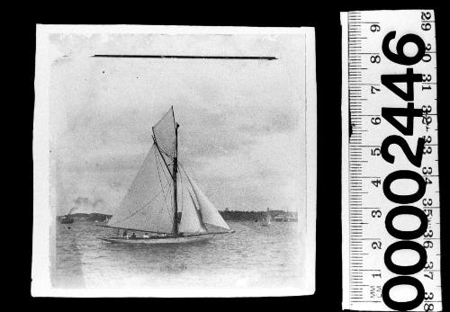 Starboard view of a cutter under sail on Sydney Harbour