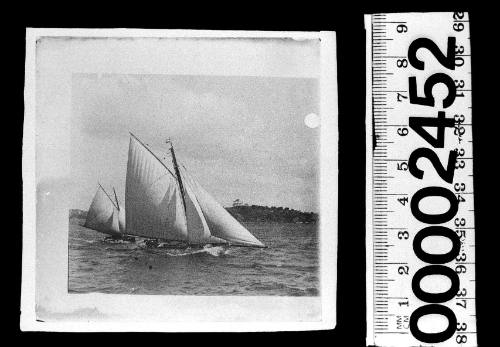 Two cutters on Sydney Harbour, New South Wales