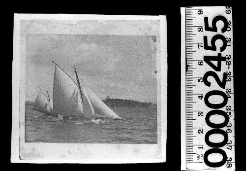 Two cutters under sail on Sydney Harbour, New South Wales