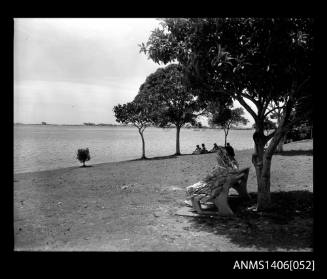 Negative depicting two women sitting on a park bench, under a tree, looking across a bay