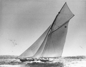 Walter Mark's CUZWULLA III, winner of 1910 Sayanora Cup