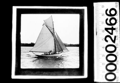 Starboard view of a white-hulled cutter under sail on Sydney Harbour, New South Wales