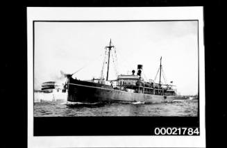 SS MERIMBULA