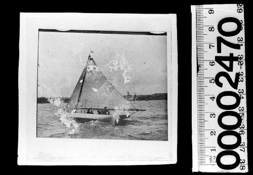 Port view of white-hulled sloop under sail on Sydney Harbour