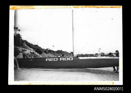 Catamaran RED ROO