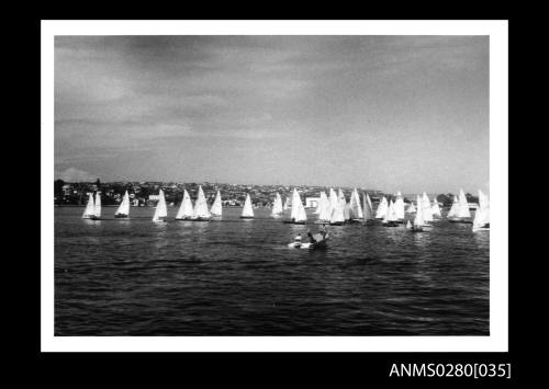 Cock of the Harbour race 1974