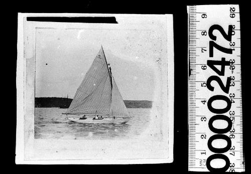 Starboard view of a sloop under sail on Sydney Harbour with the number '85' printed on the mainsail