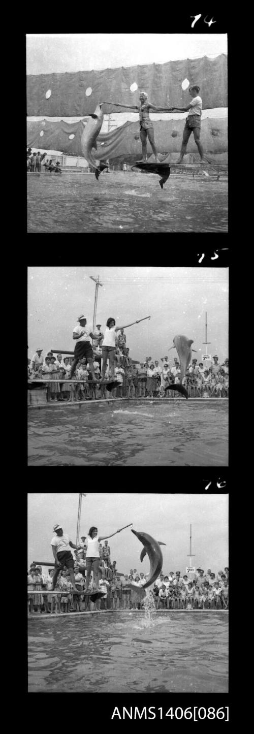 Negative depicting three shots of tourism in Surfers Paradise, circa 1960s, including dolphin shows