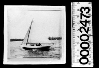 Port view of a white-hulled sloop under sail on Sydney Harbour with the crew visible in the vessel's cockpit