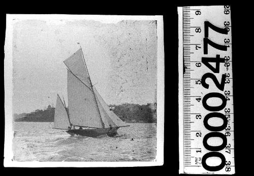 Yawl on Sydney Harbour, most likely to be ARCHINA