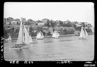 Fleet of VS 15' dingies going to start of race near Mosman Sailng Club