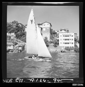 15' foot VS dingy sails out of  Mosman Bay...  has CUPID/ EROS as sail insignia.