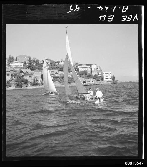 2 15' VS dingies sail in Mosman Bay prior to race start .EROS/?CUPID ?