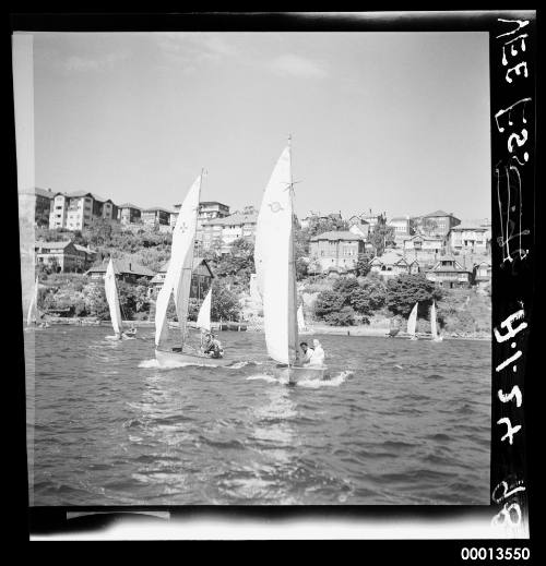 VS class dingies sailing at Mosman Bay