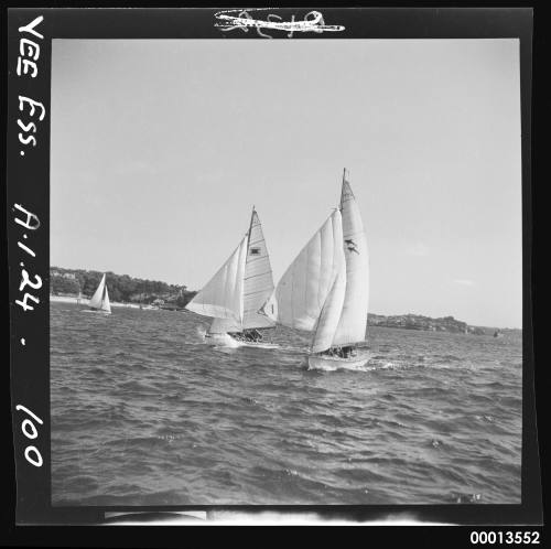 2 15'foot Vee Ess class dingies sail across harbour with Nielsen Park in distance.