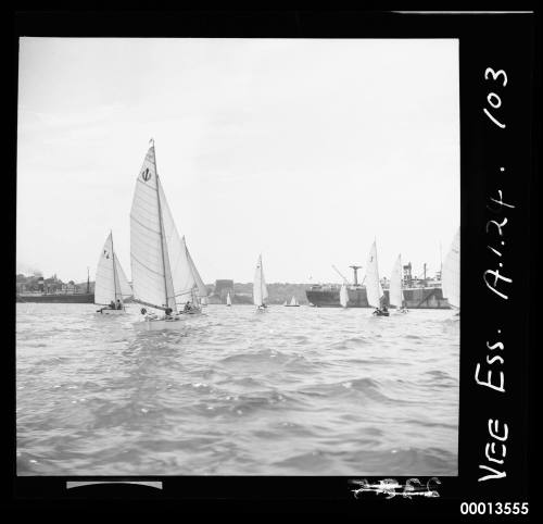 Racing fleet of VS dingies head in towards Neutral Bay with freighter at anchor on right on negative.