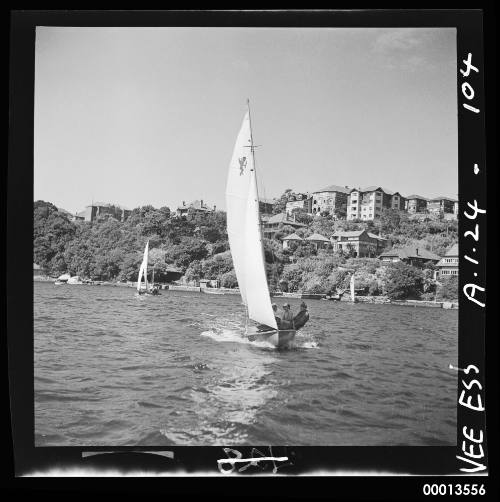 15'foot VS class dingy heads out of Mosman Bay.