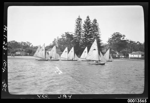 Veejay sailing dinghies on Sydney Harbour