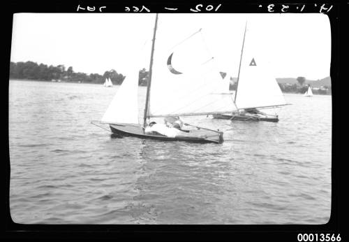 Veejay sailing dinghies on Sydney Harbour