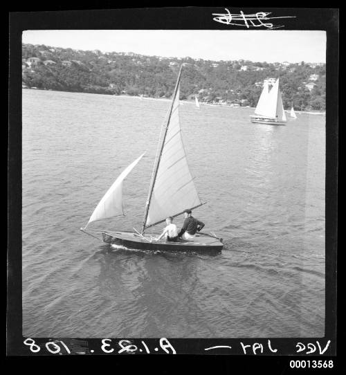 Vee Jay sailing dinghies on Sydney Harbour