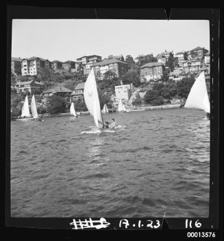 Veejay sailing dinghies on Sydney Harbour