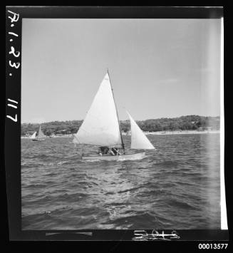 Vee Jay sailing dinghies off Nielsen Part on Sydney Harbour