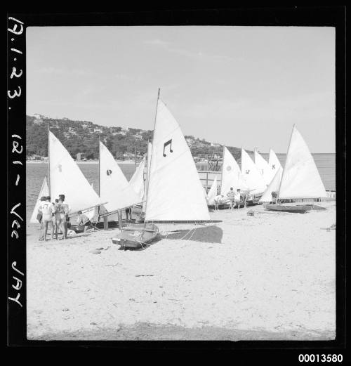 Vee Jay sailing dinghies rigged before start of race at Middle Harbour