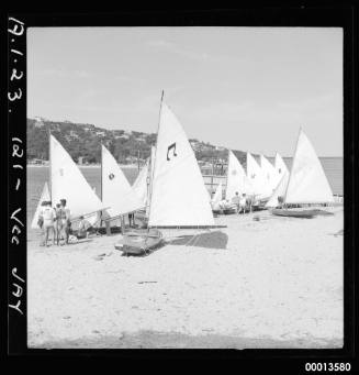 Vee Jay sailing dinghies rigged before start of race at Middle Harbour