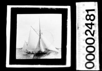 Yawl under sail on Sydney Harbour, with a crew member visible standing on the rigging at head of jib